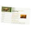 Entomology Info - энтомологический журнал 